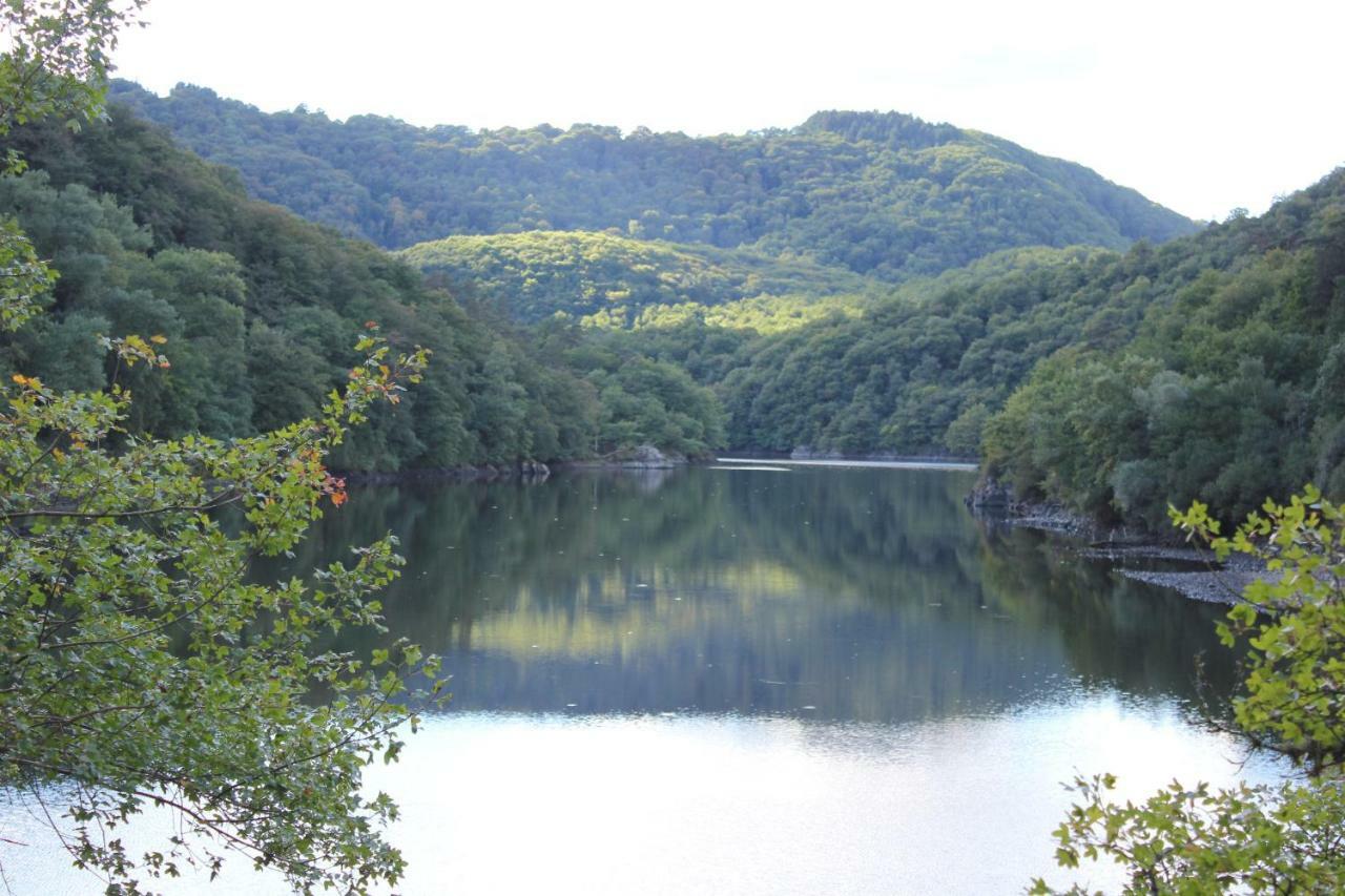 Maison Le Barrage Saint-Gervais-dʼAuvergne エクステリア 写真